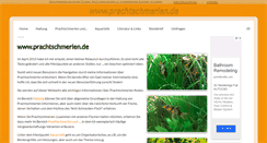 Desktop Screenshot of prachtschmerlen.de